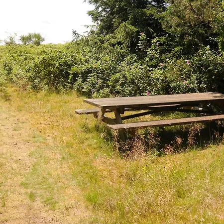 Kalv - 75m From The Sea By Interhome Сasa de vacaciones Osterby (Sonderjylland)