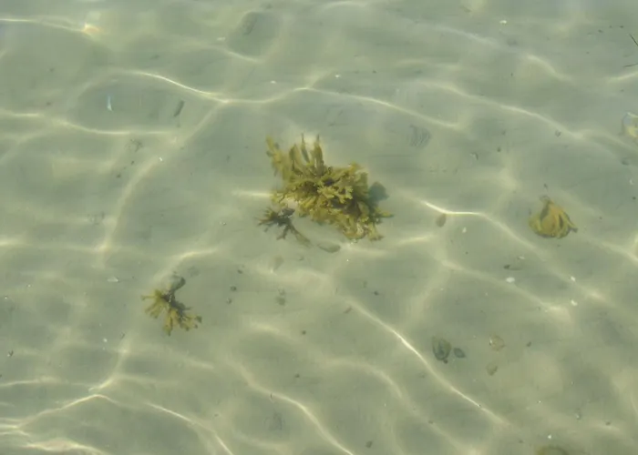 Kalv - 75m From The Sea By Interhome * Osterby (Sonderjylland)