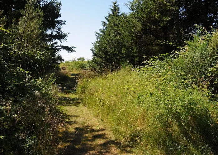 Semesterbostad Kalv - 75m From The Sea By Interhome *